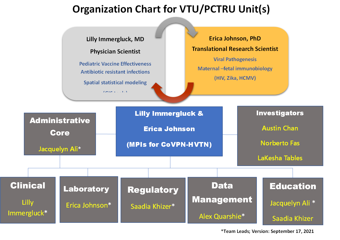 organizational chart VP